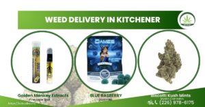 weed delivery in kitchener