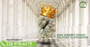 king sherbet strains delivery in kitchener