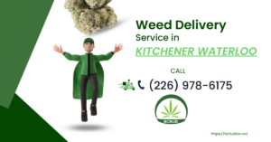 weed delivery services in kitchener waterloo